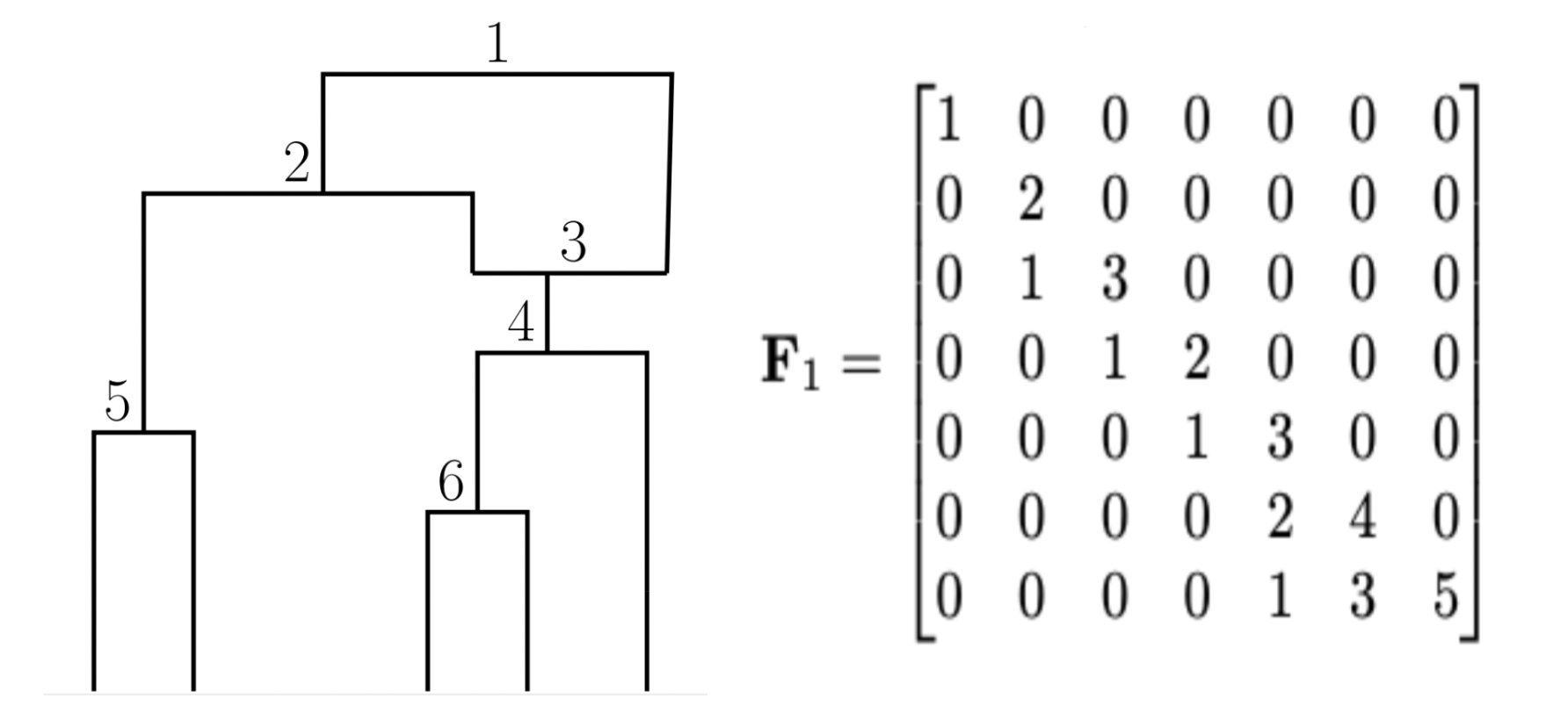 A ranked phylogenetic network with numbered internal events, alongside its triangular F-matrix representation